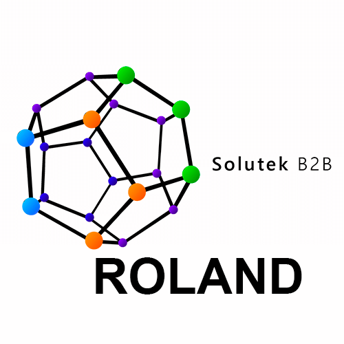 Mantenimiento correctivo Impresoras gran formato Roland